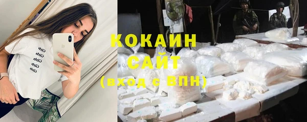 прущие грибы Михайловск
