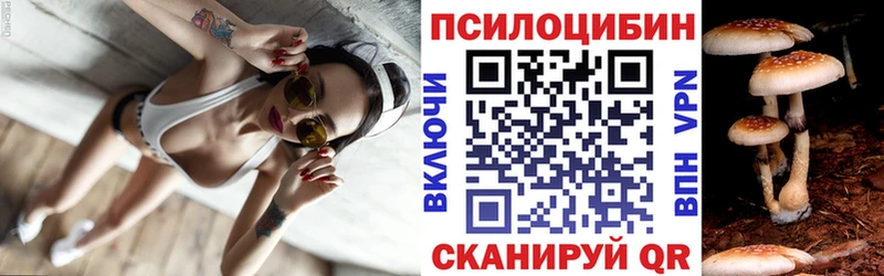 omg онион  купить наркотик  Кяхта  Галлюциногенные грибы GOLDEN TEACHER 